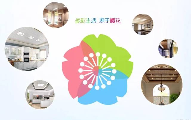 樱花外胎图标，美丽与创新的完美结合