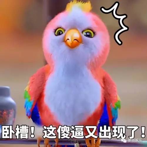 小莫莫表情包，萌态万千，情感传递的新宠