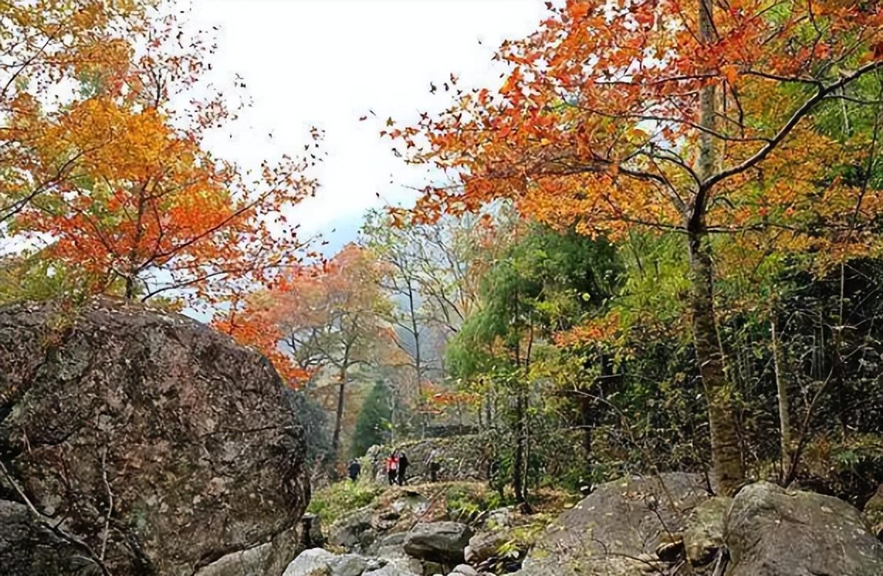 平阳县健身，活力四溢的健康生活