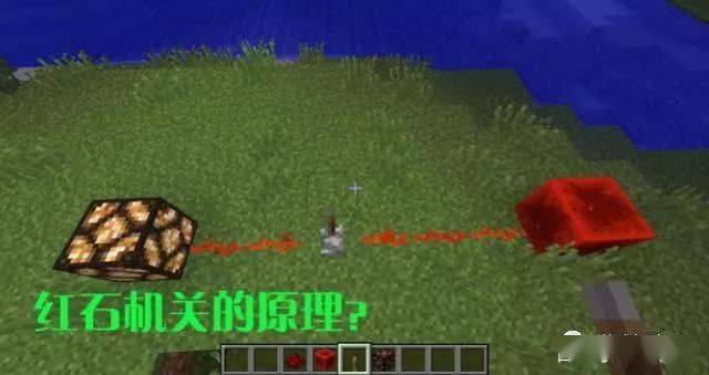 寻找一本拥有特异功能的书，探索未知世界的神秘之旅