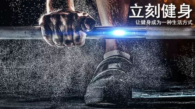 健身之道，塑造健康生活的关键内容