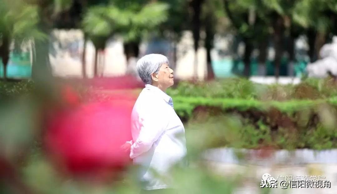 芳华这本书的价格探究
