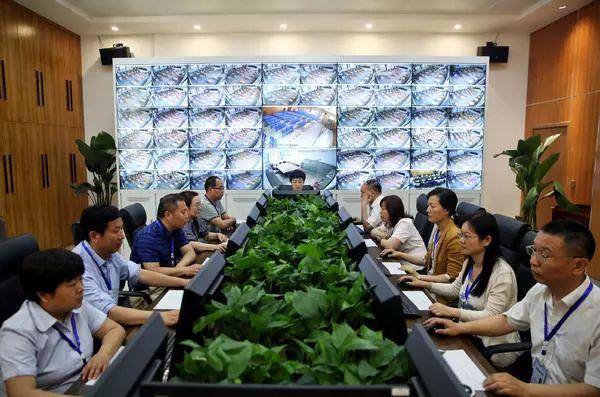 操手势图标，引领新时代的无声语言