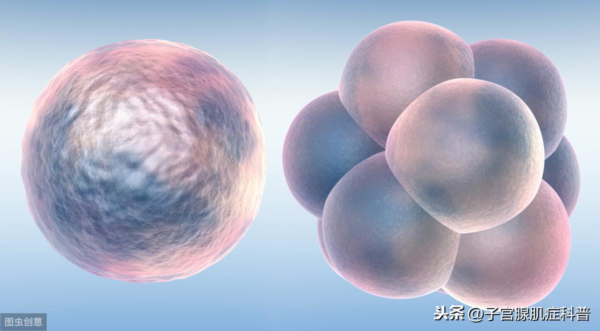 试管取卵后腹胀，原因、处理与预防