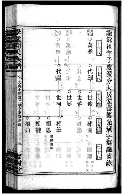 谢氏族谱书价格分析及背景介绍