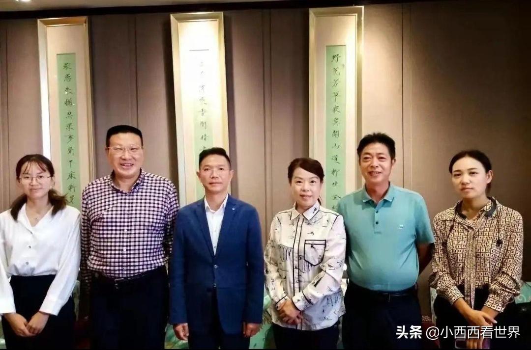如何查护士证真假，全面指南