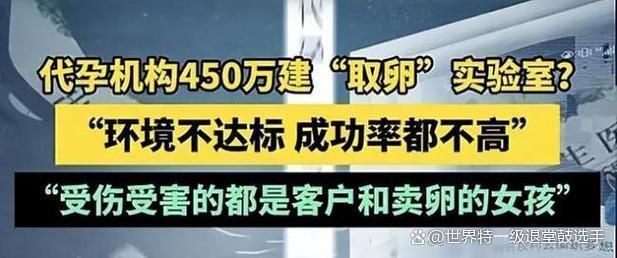 代孕取卵过程，伦理、法律与医学的交织