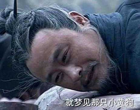 日本大发自动门，技术领先，品质卓越
