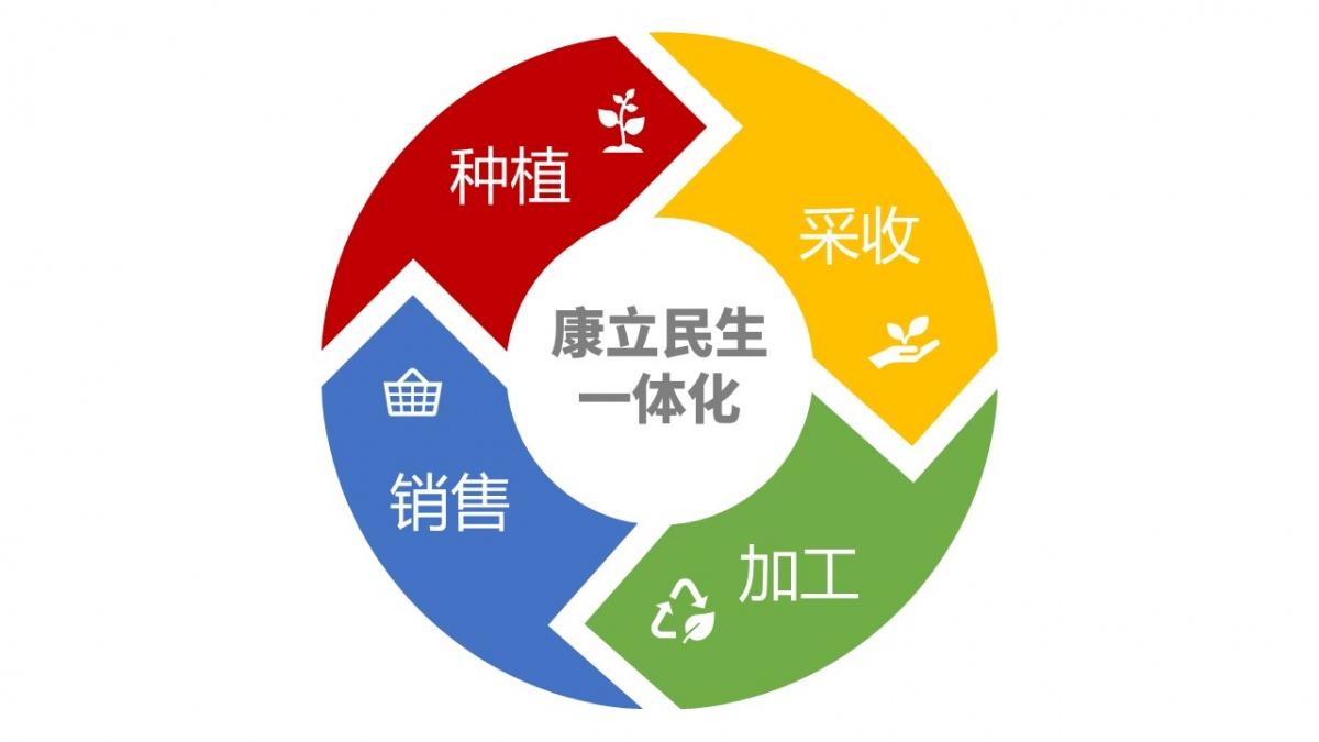 皂角树品种繁多，各具特色，究竟哪个品种更好，需要根据不同的需求和背景进行评估。本文将介绍几种常见的皂角树品种，并分析它们的优缺点，以便读者更好地了解并选择适合自己的皂角树品种。