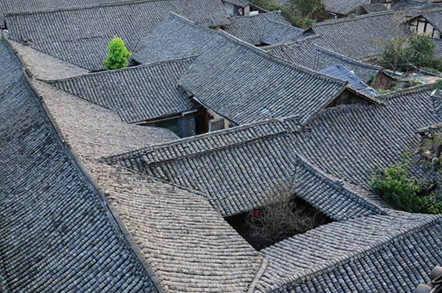 南方园林苗圃植物品种丰富多样