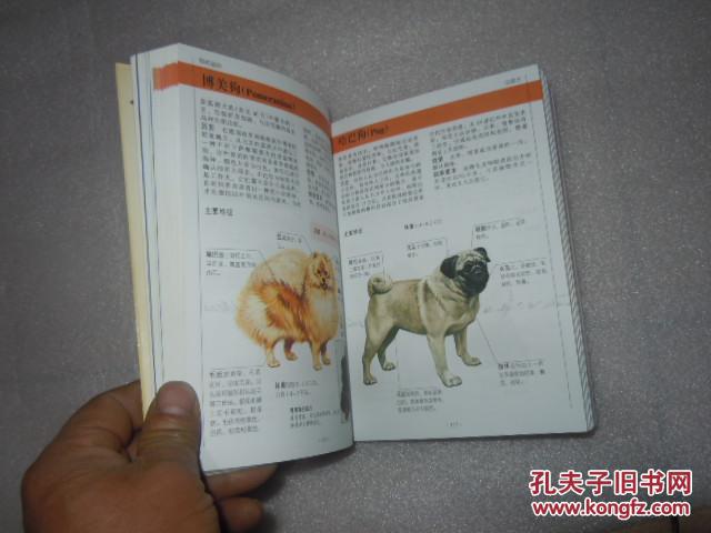 家庭养狗一本通，全方位指南与实用建议