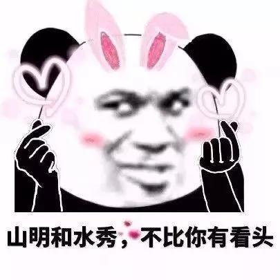 金馆长动漫表情包，流行文化的独特符号