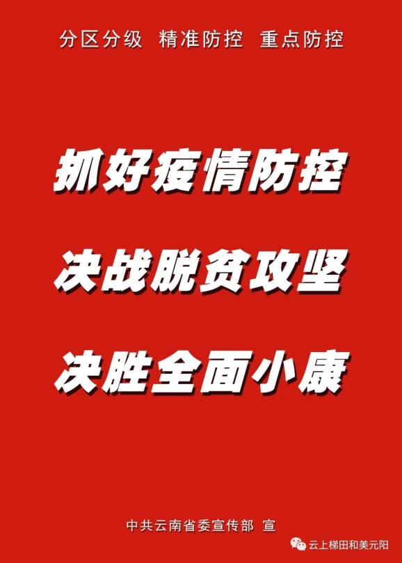 防疫情宣传语句语音的力量，构建全民防疫的坚实防线